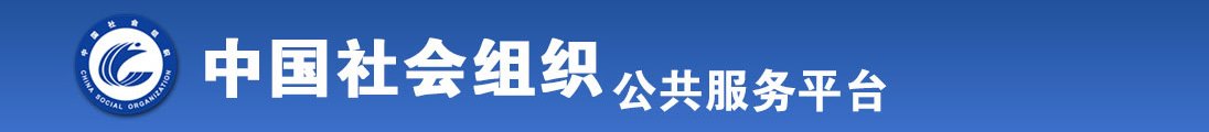 艹逼网站可以观看全国社会组织信息查询